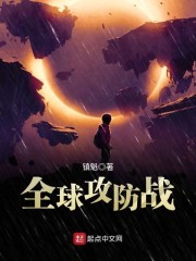 全球攻防战封面