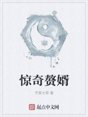 惊奇赘婿封面