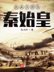 我真没想当秦始皇封面