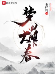 梦回大明春封面