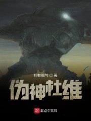 伪神杜维封面