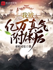 我被亿万真气附体后封面