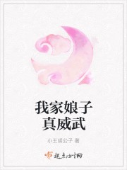 我家娘子真威武封面