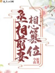 丞相前妻想篡位封面
