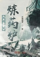 我是一尊炼药炉封面
