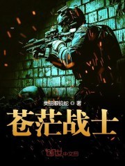 苍茫战士封面