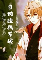 神奇宝贝之自动挂机系统封面