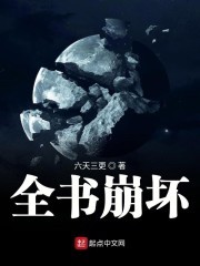 全书崩坏封面