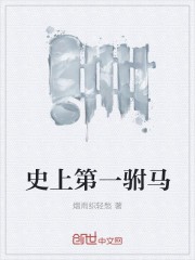 史上第一驸马封面