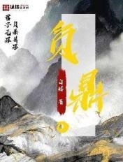 负鼎封面