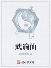 武谪仙封面