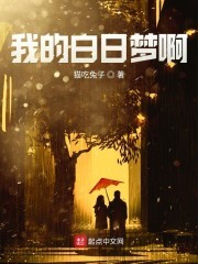 我的白日梦啊封面