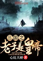 三国之老子是皇帝封面