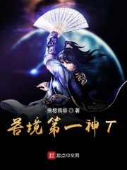 苦境第一神T封面