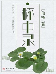 杯中录封面