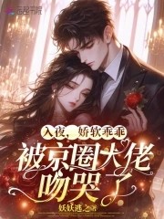 入夜,娇软乖乖被京圈大佬吻哭了封面