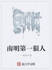 南明第一狠人封面