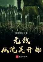 无敌从流民开始封面