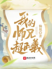 我的师兄超正义封面