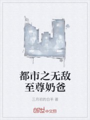 都市之无敌至尊奶爸封面