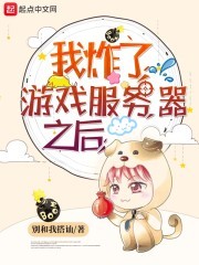 我炸了游戏服务器之后封面