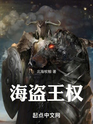 海盗王权封面
